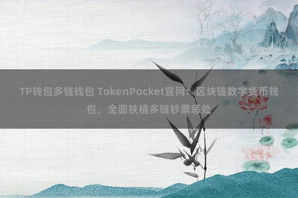 TP钱包多链钱包 TokenPocket官网：区块链数字货币钱包，全面扶植多链钞票惩处